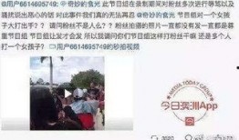 田林新闻爆料事件始末,真相与争议的交织